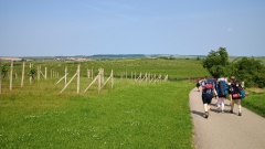 IMG_20250610_102935369