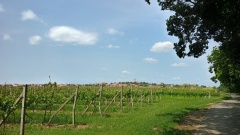IMG_20250610_121430244_HDR