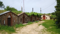IMG_20250610_134314685