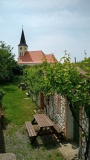 IMG_20250610_134438712_HDR