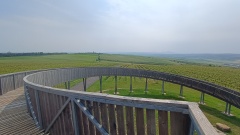 IMG_20250610_151806419