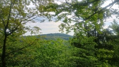 IMG_20250502_104815951_HDR