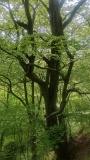IMG_20250502_105000083_HDR