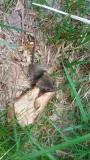 IMG_20250502_114946666