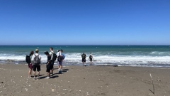 turtle-beach-1