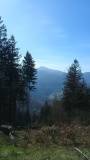 IMG_20250416_101256945