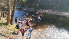 IMG_20250416_113040987