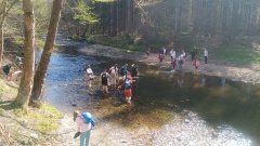 IMG_20250416_113129152