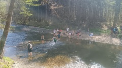 IMG_20250416_113407633