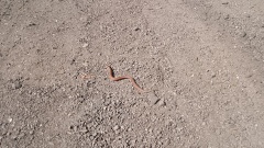 IMG_20250416_114918603