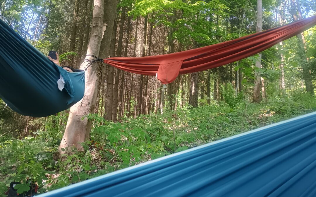 Cvičná bronzová expedice DofE