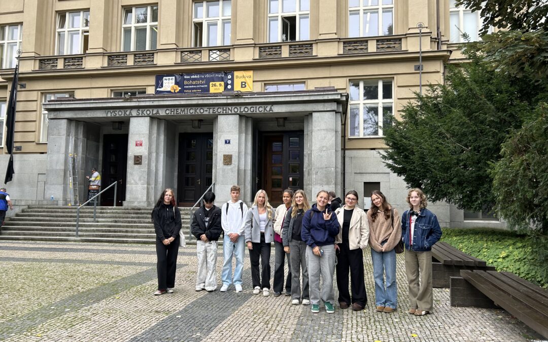 Chemie v praxi: od analýzy olejů po domácí majonézu