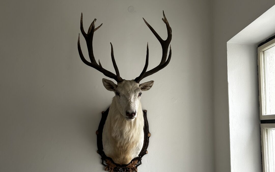 Regionální kolo soutěže YPEF