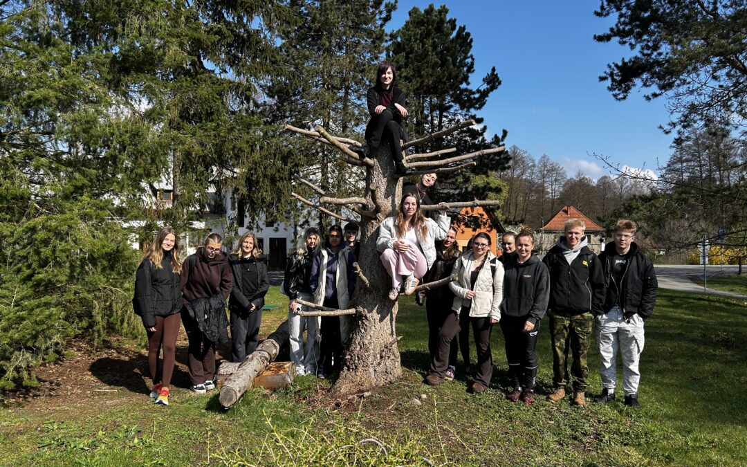 Ekologie a ekonomika lesa v septimě